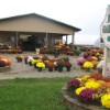 Fall decorations around the shed