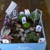 Fairy Garden!