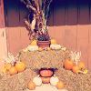 Fall Decoration Ideas