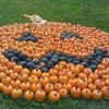 Creative pumpkin design